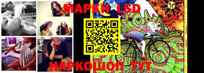 индика Гатчина