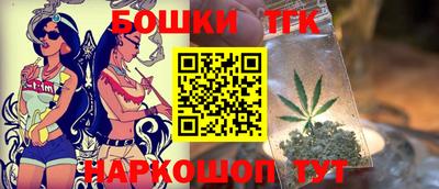 индика Гатчина