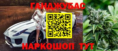 индика Гатчина