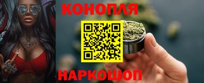 индика Гатчина