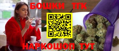 индика Гатчина