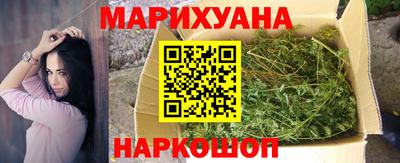 индика Гатчина