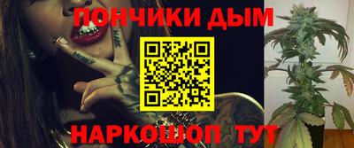 индика Гатчина