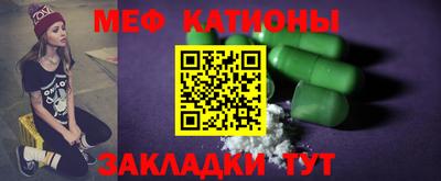 индика Гатчина