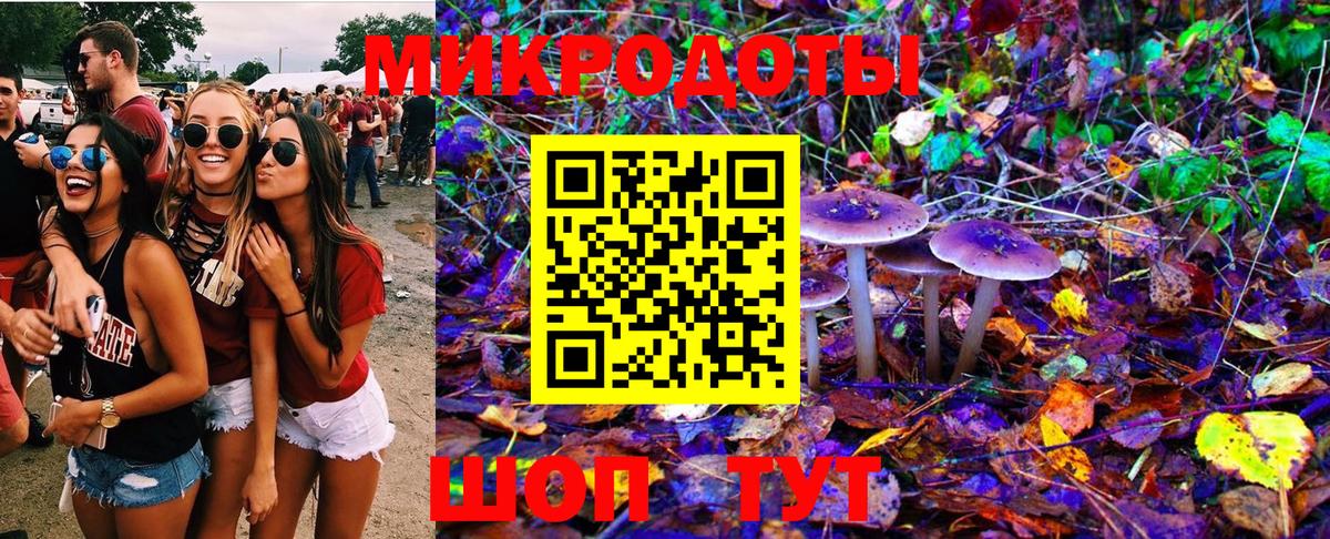 Псилоцибиновые грибы мицелий  Вход с VPN  Избербаш 