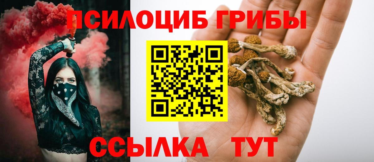 Псилоцибиновые грибы Psilocybine cubensis Избербаш